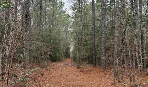Photo #33 of 108 AC New & Seacock Chapel Road, Ivor, Virginia 108.3 acres