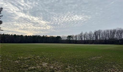 11AC Open Crop Land - Off of New Road