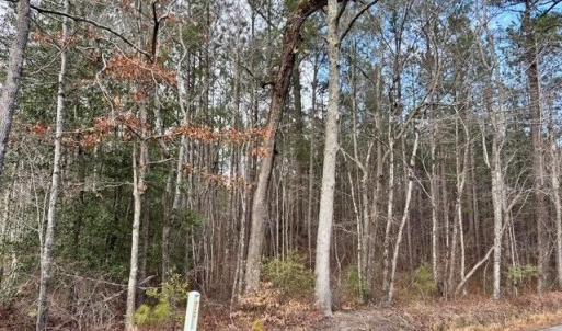 Road Frontage on Seacock Chapel Road