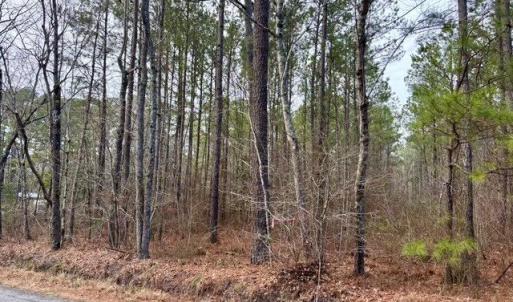 Road Frontage on Seacock Chapel Road