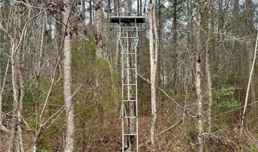 Photo #13 of 108 AC New & Seacock Chapel Road, Ivor, Virginia 108.3 acres