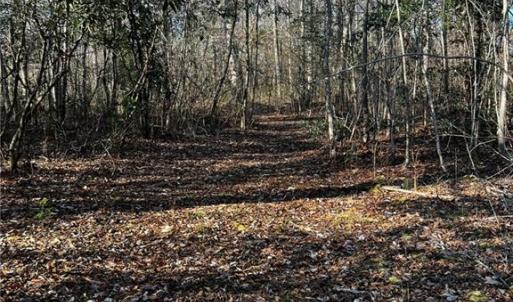 Wooded with clearings to build.