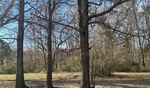 Photo #6 of 3725 Cornland Road, Chesapeake, Virginia 4.9 acres