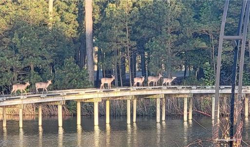 Photo #18 of LOT 53 HERON POINTE Drive, Cape Charles, Virginia 0.3 acres