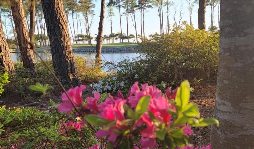 Photo #25 of LOT 53 HERON POINTE Drive, Cape Charles, Virginia 0.3 acres