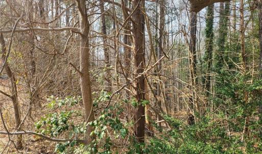 Photo #3 of 4712 Monaco Drive, Sandston, Virginia 0.8 acres