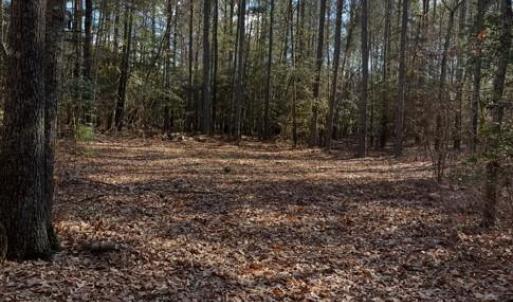 Photo #5 of Lot 6 Fox Chase Drive, Dendron, Virginia 5.1 acres