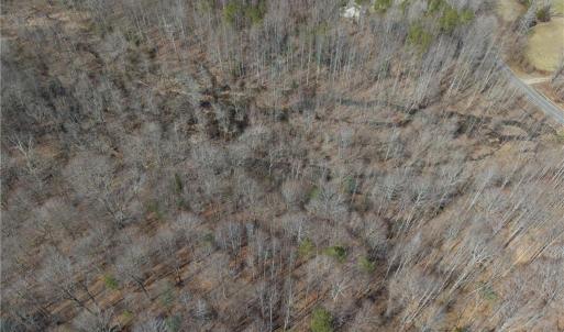 Photo #13 of 38+AC Burleigh Road, Gloucester, Virginia 38.1 acres