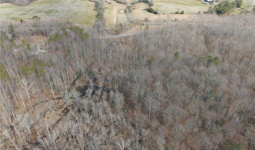 Photo #14 of 38+AC Burleigh Road, Gloucester, Virginia 38.1 acres