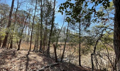 Photo #6 of Lot129 Patriots Ridge, Carrollton, Virginia 0.8 acres