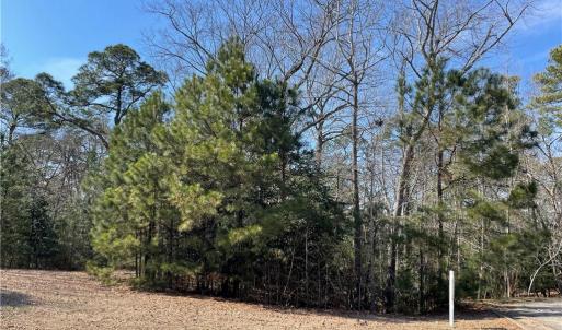 Highly elevated lot