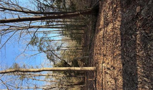 Photo #1 of 4.68AC King William Road, King William, Virginia 4.7 acres