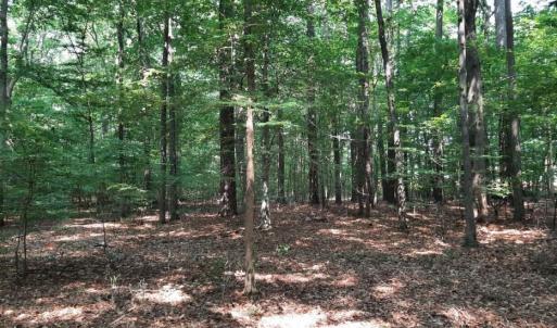 Photo #2 of 6628 Blackwater Road, Virginia Beach, Virginia 6.3 acres