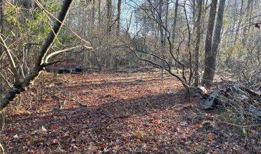 Photo #6 of 3016 New Bridge Road, Virginia Beach, Virginia 1.5 acres