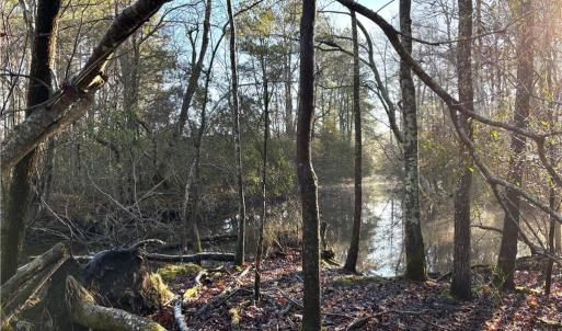 Photo #7 of 3016 New Bridge Road, Virginia Beach, Virginia 1.5 acres