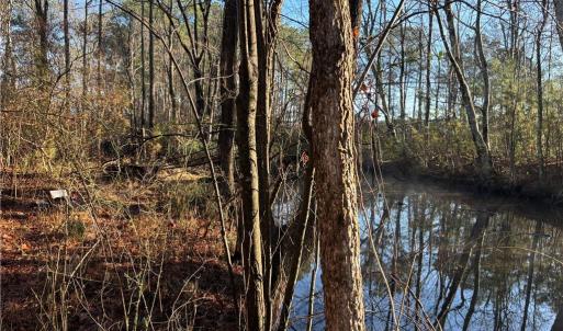 Photo #8 of 3016 New Bridge Road, Virginia Beach, Virginia 1.5 acres