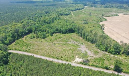 Photo #2 of 20 ac Hollybush Road, Dendron, Virginia 20.0 acres