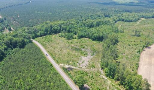 Photo #12 of 20 ac Hollybush Road, Dendron, Virginia 20.0 acres
