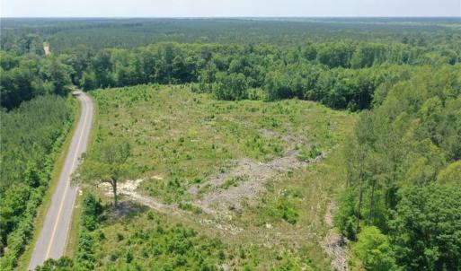 Photo #3 of 20 ac Hollybush Road, Dendron, Virginia 20.0 acres