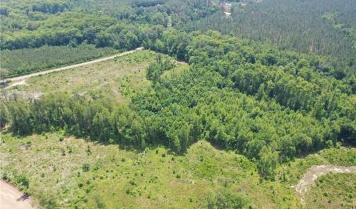 Photo #6 of 20 ac Hollybush Road, Dendron, Virginia 20.0 acres