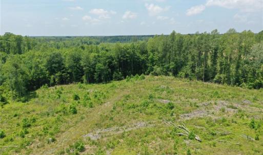 Photo #7 of 20 ac Hollybush Road, Dendron, Virginia 20.0 acres