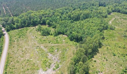 Photo #8 of 20 ac Hollybush Road, Dendron, Virginia 20.0 acres