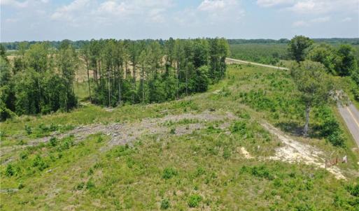 Photo #9 of 20 ac Hollybush Road, Dendron, Virginia 20.0 acres
