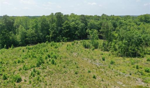Photo #10 of 20 ac Hollybush Road, Dendron, Virginia 20.0 acres
