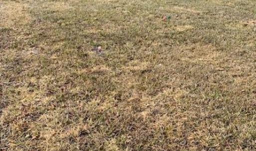 Photo #2 of 1.32ac River Rd and Farm Road, South Boston, Virginia 1.3 acres
