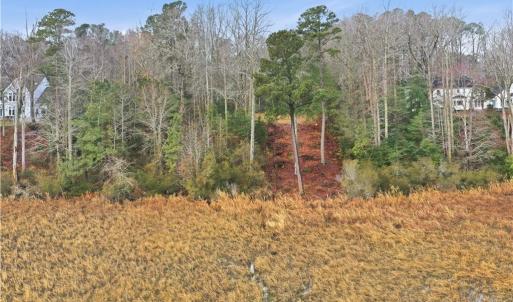 Photo #7 of 5.1+AC High Bluff Lane, Barhamsville, Virginia 7.8 acres