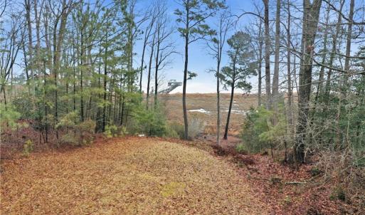 Photo #17 of 5.1+AC High Bluff Lane, Barhamsville, Virginia 7.8 acres