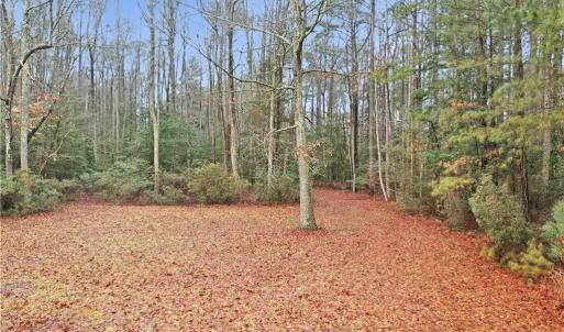 Photo #18 of 5.1+AC High Bluff Lane, Barhamsville, Virginia 7.8 acres