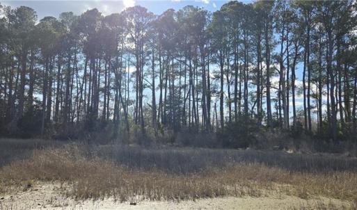 Photo #23 of 15+AC Haven Beach Road, Moon, Virginia 21.2 acres