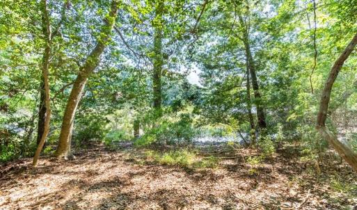 Photo #10 of 42 Scufflefield Road, Newport News, Virginia 2.1 acres