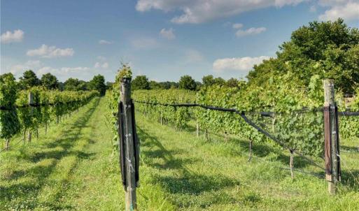 Photo #45 of 2412 Reserve Drive, Williamsburg, Virginia 1.3 acres