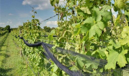 Photo #49 of 2412 Reserve Drive, Williamsburg, Virginia 1.3 acres