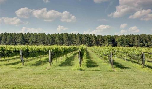 Photo #39 of 2412 Reserve Drive, Williamsburg, Virginia 1.3 acres