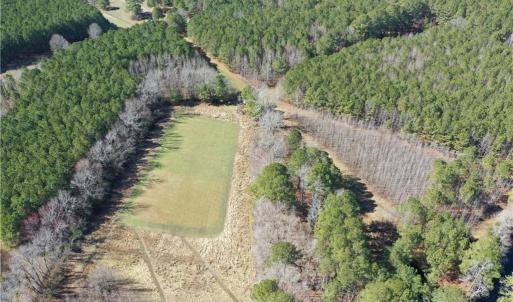 Photo #11 of 25+AC Holland Road, Suffolk, Virginia 36.8 acres