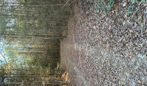 Photo #1 of Horse Run Road, Gloucester, Virginia 5.0 acres