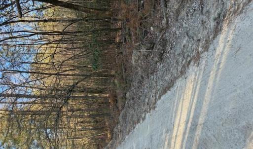 Photo #4 of Horse Run Road, Gloucester, Virginia 5.0 acres