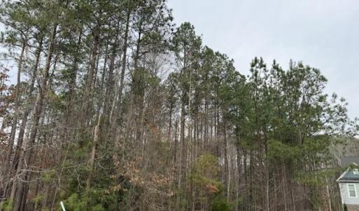 Photo #1 of 11794 Red Cross Bill Way, Providence Forge, Virginia 0.7 acres