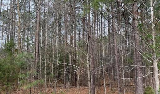 Photo #3 of 11794 Red Cross Bill Way, Providence Forge, Virginia 0.7 acres