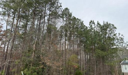 Photo #2 of 11794 Red Cross Bill Way, Providence Forge, Virginia 0.7 acres