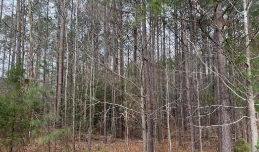 Photo #3 of 11794 Red Cross Bill Way, Providence Forge, Virginia 0.7 acres