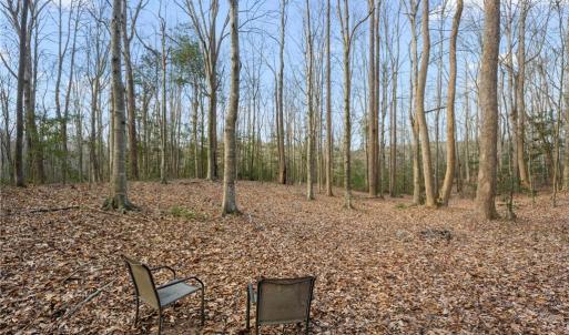 Photo #2 of 12+AC Jusdan Lane, Gloucester, Virginia 12.7 acres