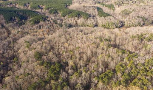 Photo #4 of 12+AC Jusdan Lane, Gloucester, Virginia 12.7 acres