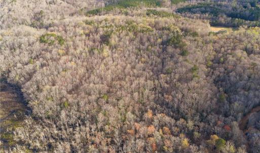 Photo #7 of 12+AC Jusdan Lane, Gloucester, Virginia 12.7 acres