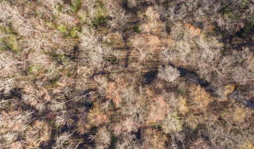 Photo #8 of 12+AC Jusdan Lane, Gloucester, Virginia 12.7 acres