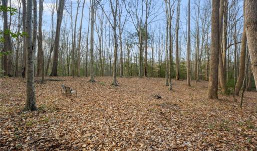 Photo #9 of 12+AC Jusdan Lane, Gloucester, Virginia 12.7 acres