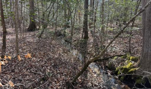 Photo #6 of 1A Carter Hill Street, Gloucester, Virginia 14.5 acres